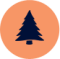 Skog Image